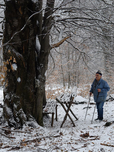 Foto adapost turistic Poiana Plestioara (c) Petru Goja